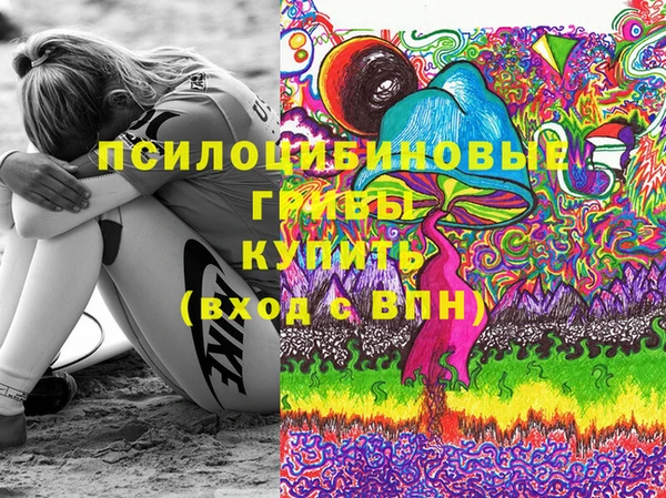 гашик Балахна