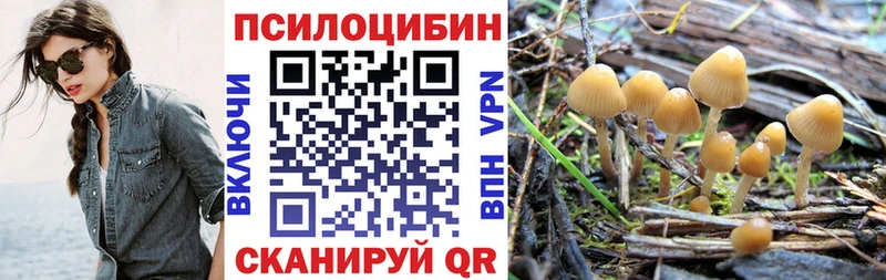 Галлюциногенные грибы Cubensis Гаврилов-Ям